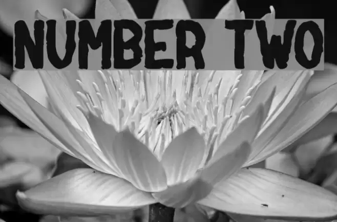 NUMBER two Caratteri examples