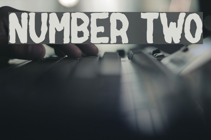 NUMBER two Font examples