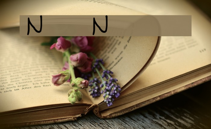 NUN Font examples