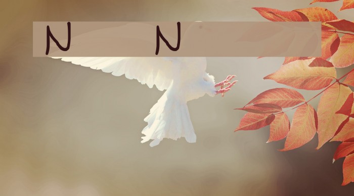 NUN Font examples