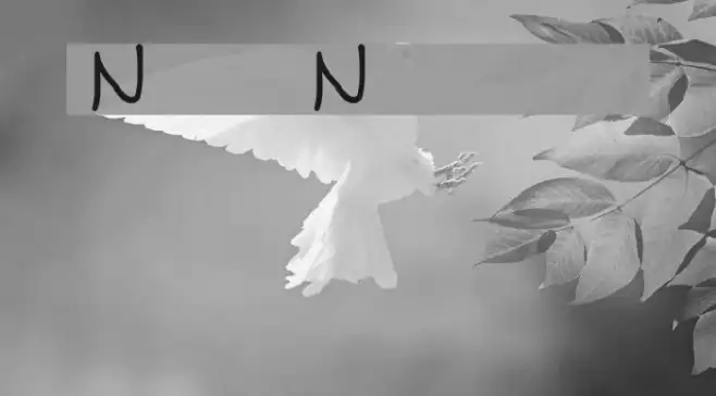 NUN Example 3