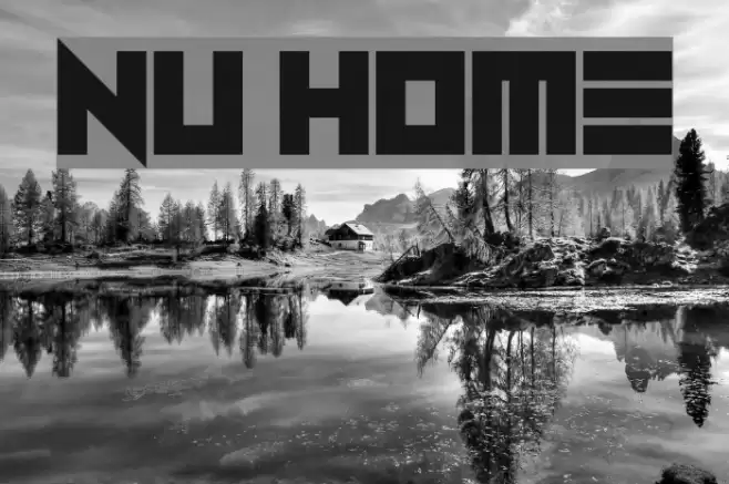 Nu Home Polices examples