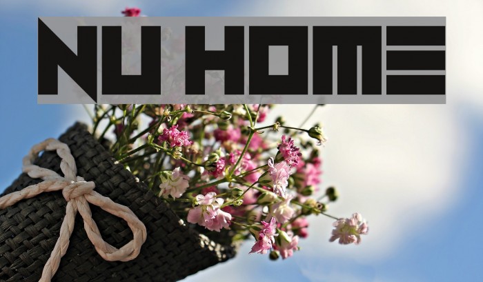 Nu Home Polices examples