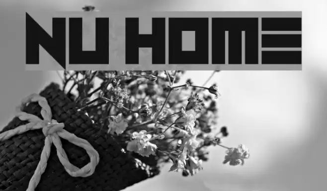 Nu Home Polices examples