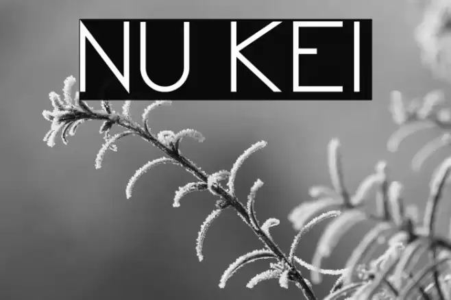 Nu Kei Font examples