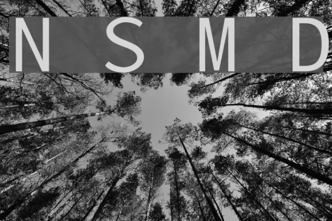 Nu Sans Mono Demo خط examples