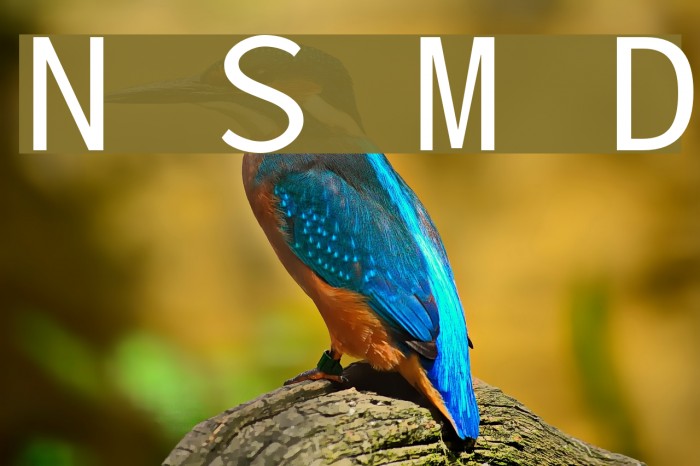 Nu Sans Mono Demo لخطوط تنزيل examples