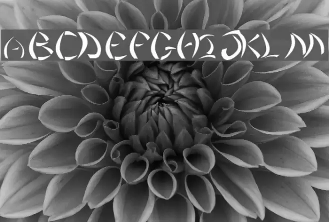 NuBatman Font examples