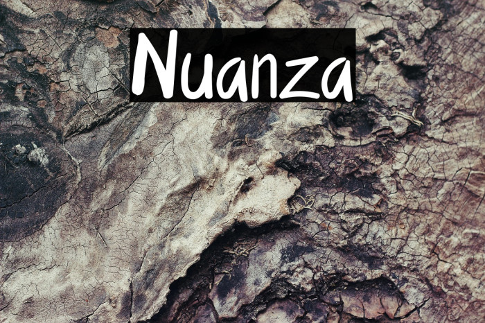 Nuanza Example 1