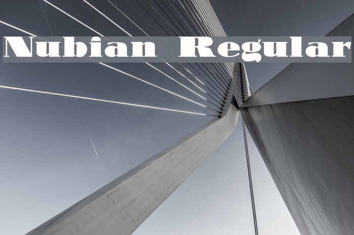 Nubian Regular Font examples
