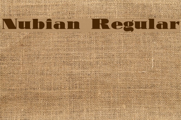 Nubian Regular Font examples