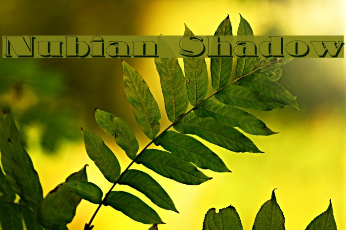 Nubian Shadow Font examples