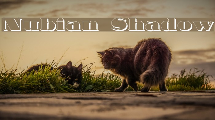 Nubian Shadow Font examples
