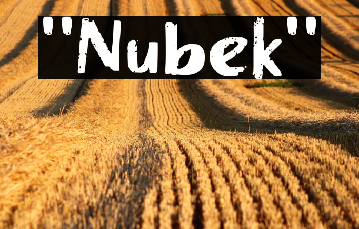 "Nublek" Example 3