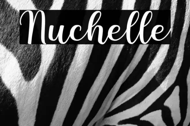 Nuchelle Font examples