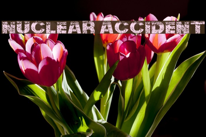 Nuclear Accident Example 2