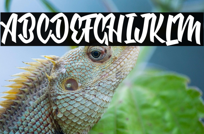 Nuclear Boots Personal Use  Example 2