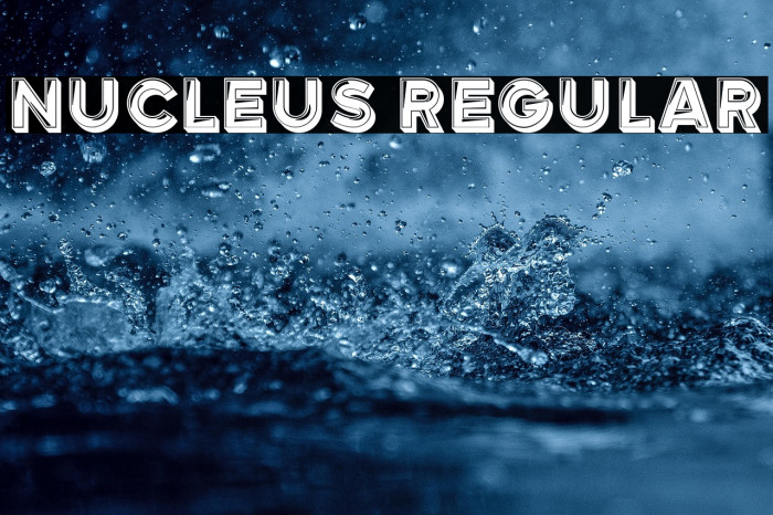 Nucleus Regular Example 1