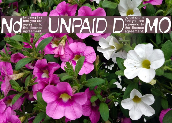 NudE UNPAID DEMO Шрифта examples