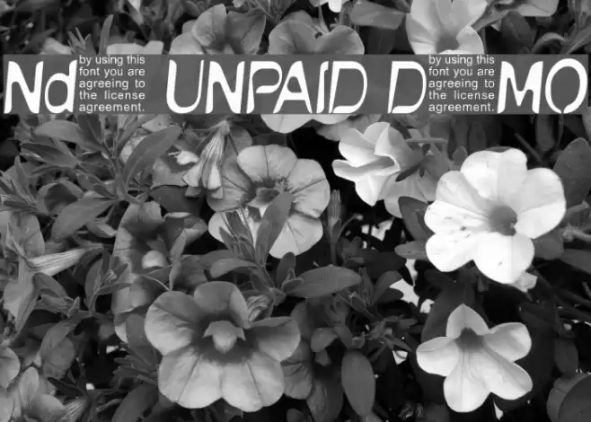 NudE UNPAID DEMO Font examples