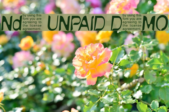 NudE UNPAID DEMO Шрифта examples