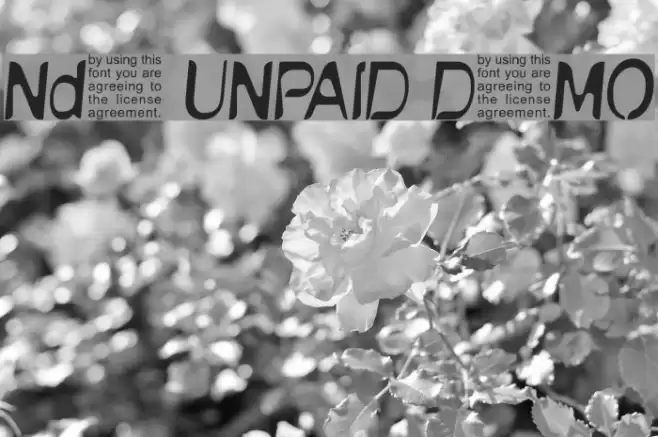 NudE UNPAID DEMO Font examples