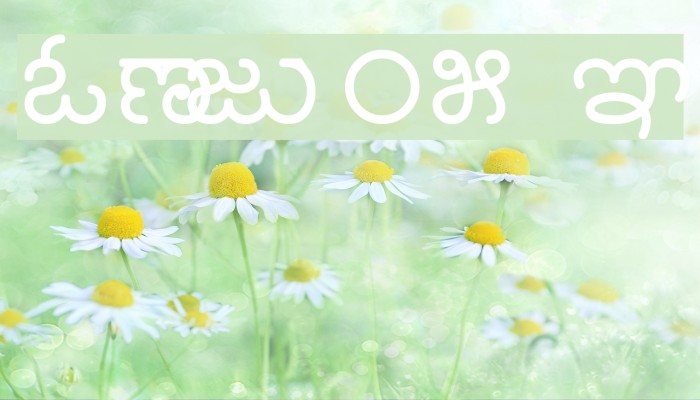 Nudi 05 k Font examples