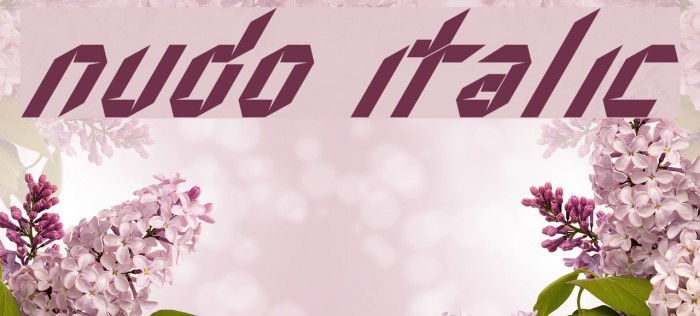 Nudo Italic Example 2