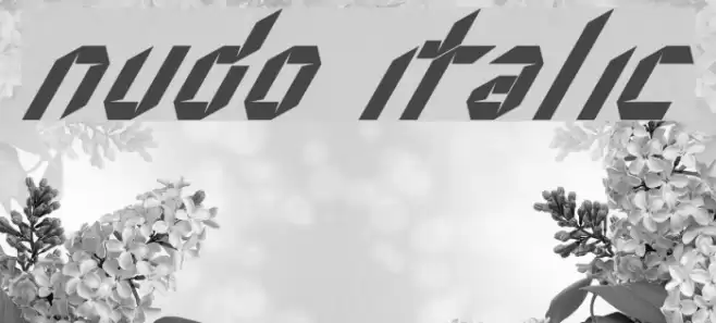 Nudo Italic Font examples