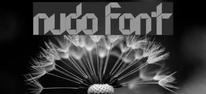 Nudo Example 2