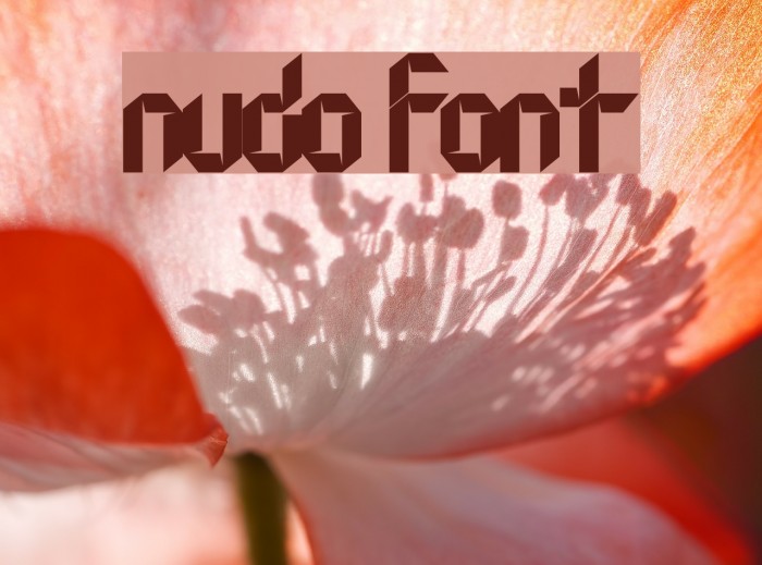 Nudo Font examples