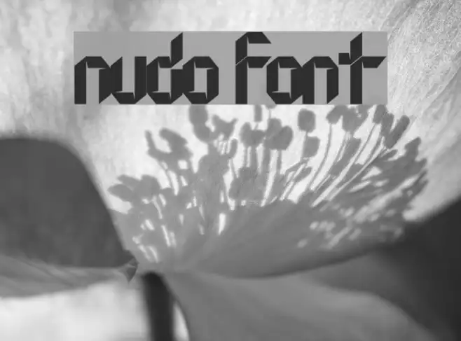 Nudo Example 3