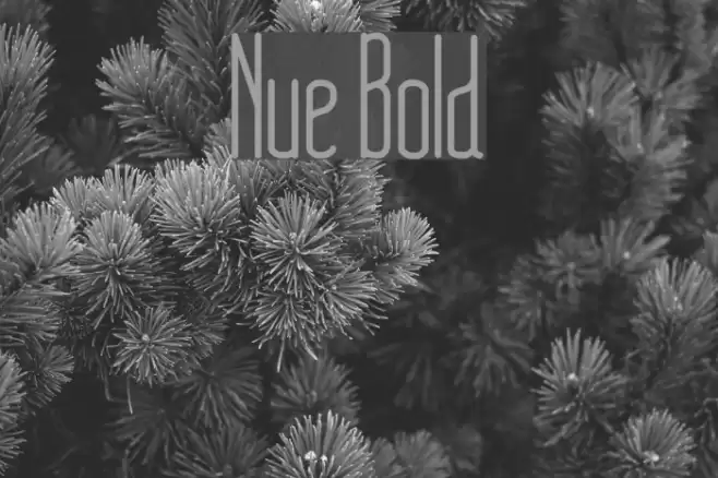 Nue Bold Font examples