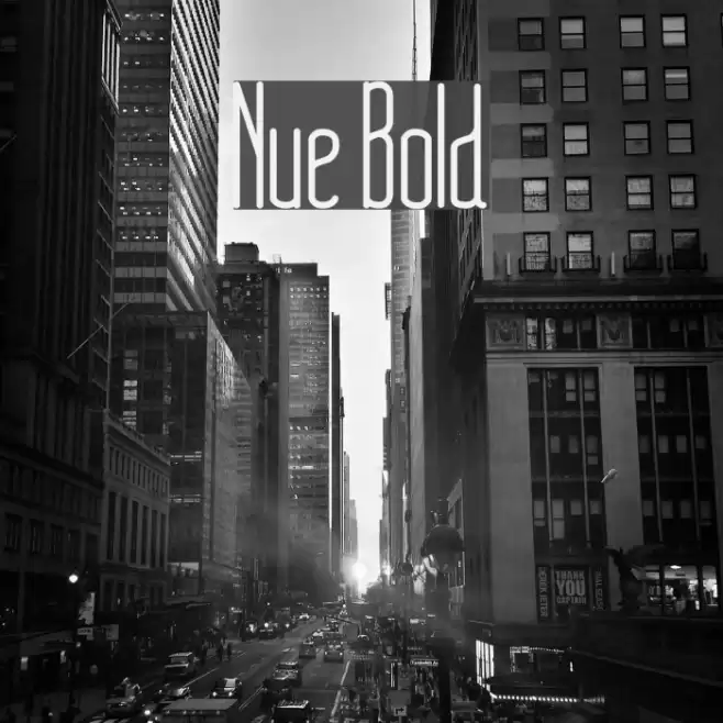 Nue Bold Font examples