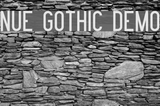 Nue Gothic Demo Example 2