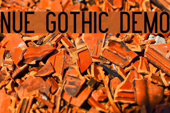 Nue Gothic Demo Font examples