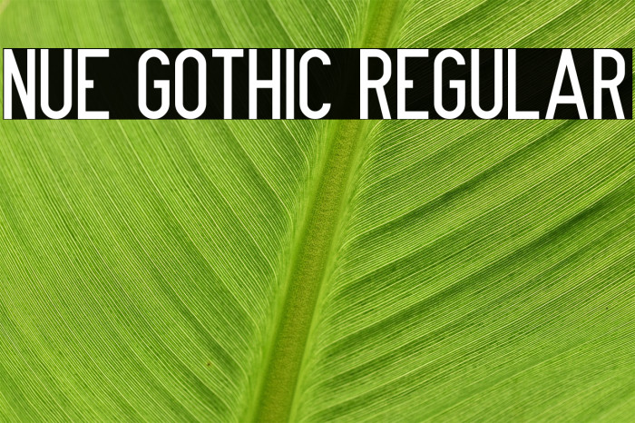 Nue Gothic Regular Font examples