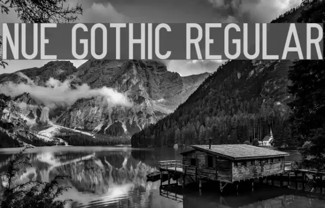 Nue Gothic Regular Font examples