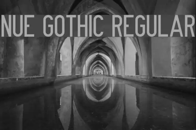 Nue Gothic Regular Font examples