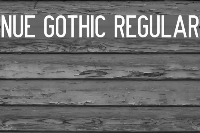 Nue Gothic Regular Font examples