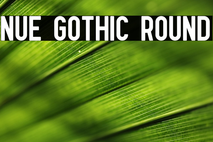 Nue Gothic Round Example 3