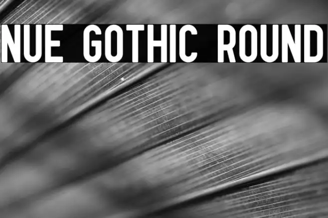Nue Gothic Round Example 3