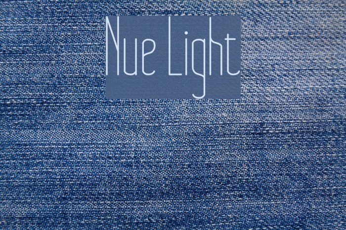 Nue Light Font examples