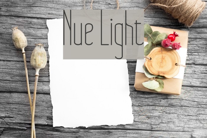 Nue Light Font examples