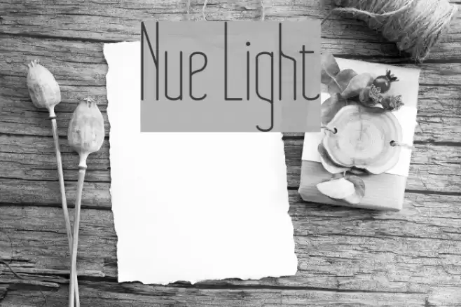 Nue Light Font examples
