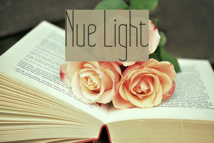 Nue Light Font examples