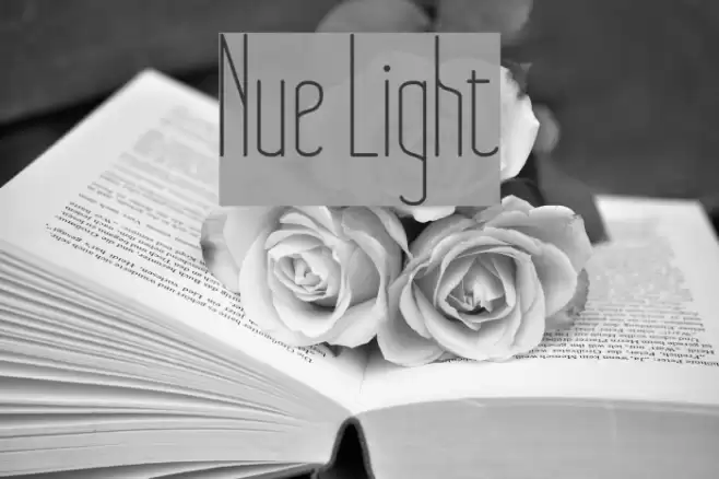 Nue Light Font examples