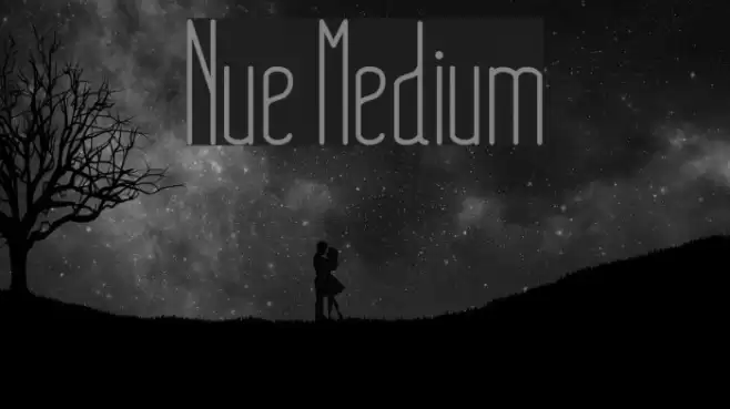 Nue Medium Font examples