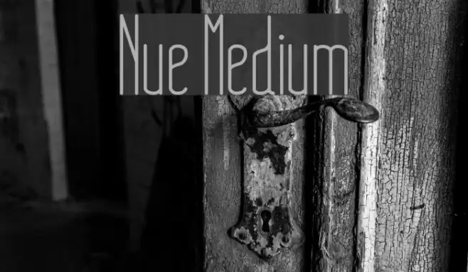 Nue Medium Font examples