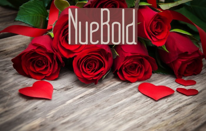 NueBold Font examples